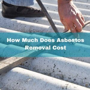 asbestos removal cost